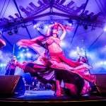 Fujirock Festival 2014 with Fanfare Cicarlia