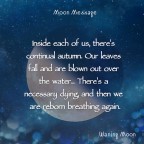 ルハニの月読み 10/14 (Tue) Ruhani Moon Message