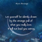 ルハニの月読み 4/17 (Fri) Ruhani Moon Message