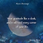 ルハニの月読み 7/8 (Wed) Ruhani Moon Message